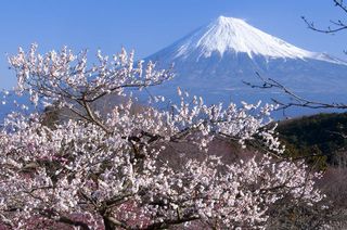 富士山・日本のイメージ画像